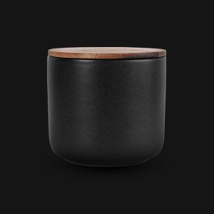 iPhone dock