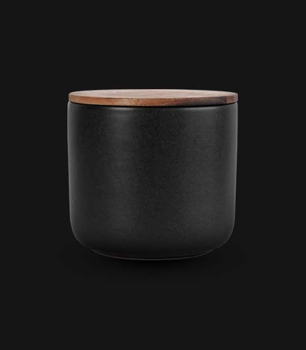 iPhone dock