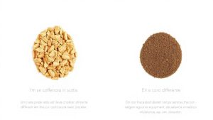 Blog 6 diferenca-da-polvora-cbc--e-